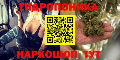 мескалин Камышлов