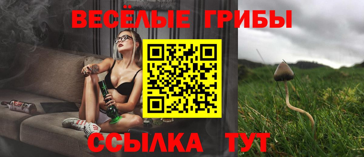 Галлюциногенные грибы GOLDEN TEACHER  Вход с VPN  Углич  Галлюциногенные грибы Psilocybe 